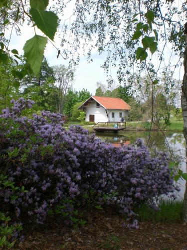 Dendrologická zahrada
