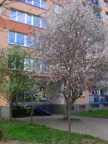 Háje - Nová cesta - 2010