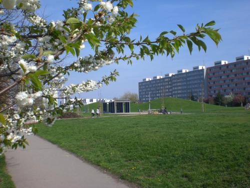 Háje - Nová cesta - 2010