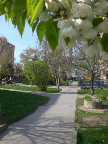 Háje - Nová cesta - 2010