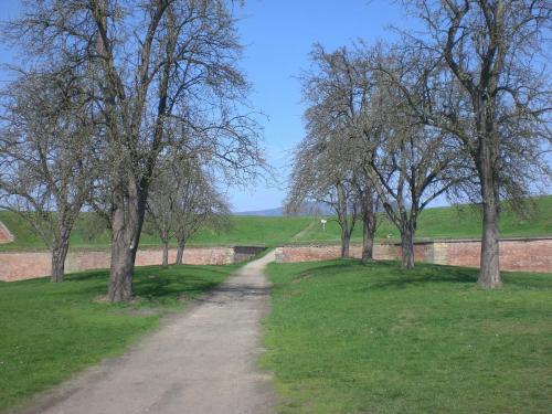 Terezín - únor - Geocaching