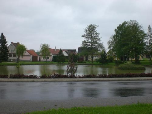 Dominičky narozeniny