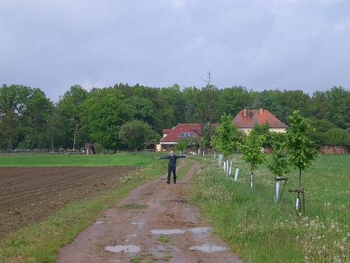 Dominičky narozeniny