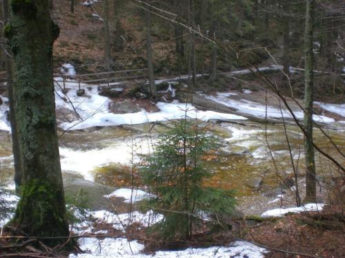 Harrachov - dřevěnka