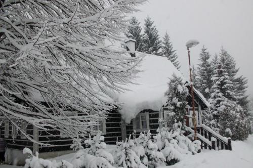 Harrachov - Dřevěnka