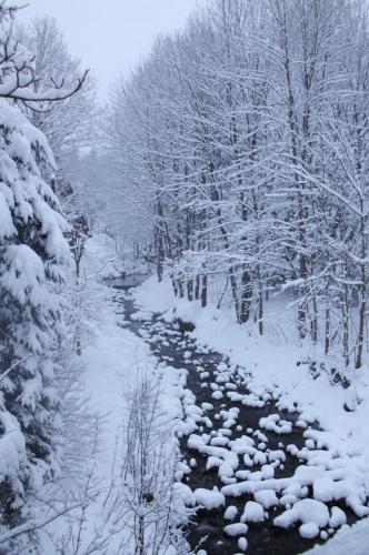 Harrachov - Dřevěnka
