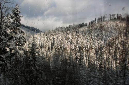 Harrachov - Dřevěnka