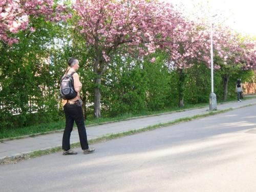 Jaro na Hájích