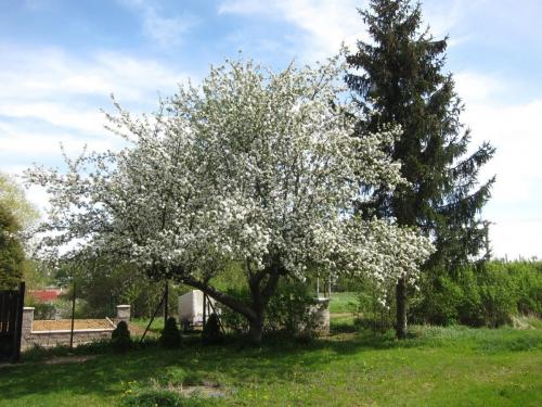 Kutná Hora Duben