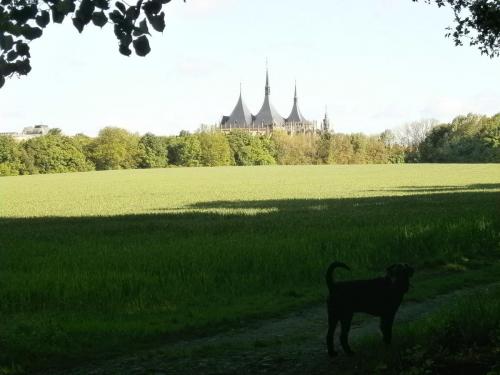 Kutná Hora, květen